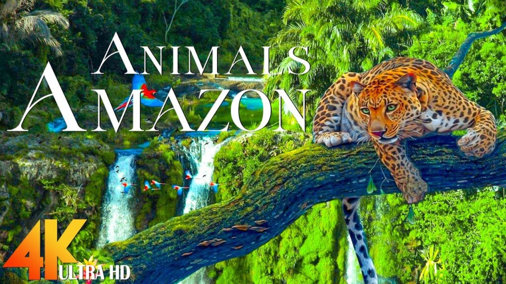 World of the Wild | The Amazon Rainforest | 4K Relaxing - Wild Animals