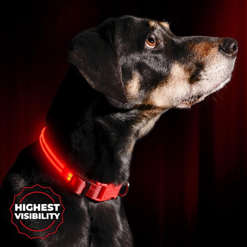 ILLUMISEEN LED Light Up Dog Collar - Bright  High Visibility Lighted Glow Collar for Pet Night Walking – USB Rechargeable – Weatherproof, in 6 Colors