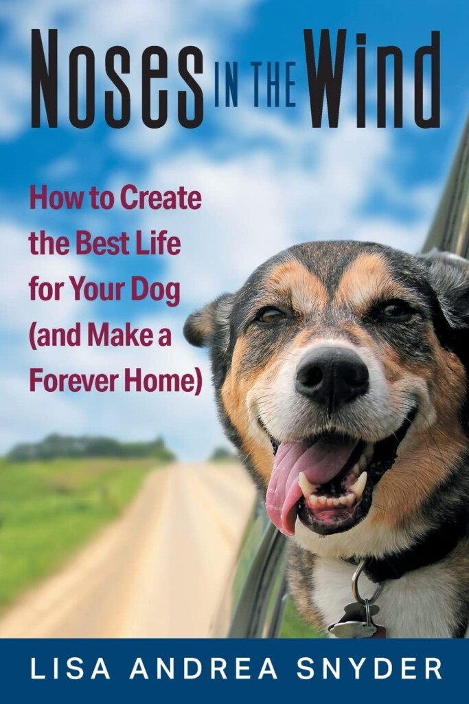 Noses in the Wind: How to Create the Best Life for Your Dog (and Make a Forever Home)