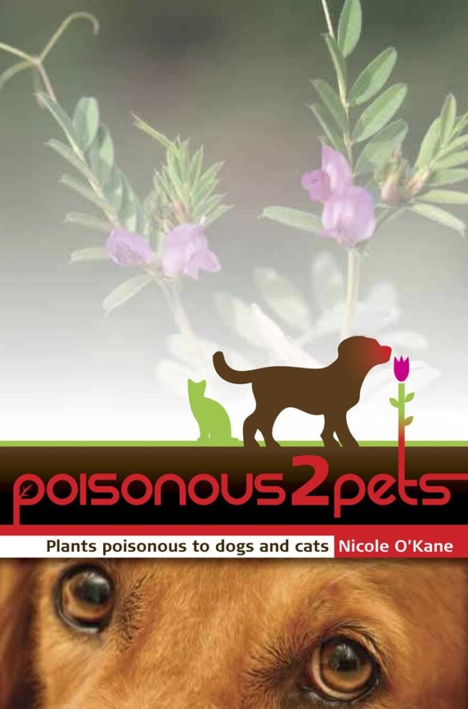 Poisonous to Pets: Plants Poisonous to Dogs and Cats     Paperback – June 8, 2011