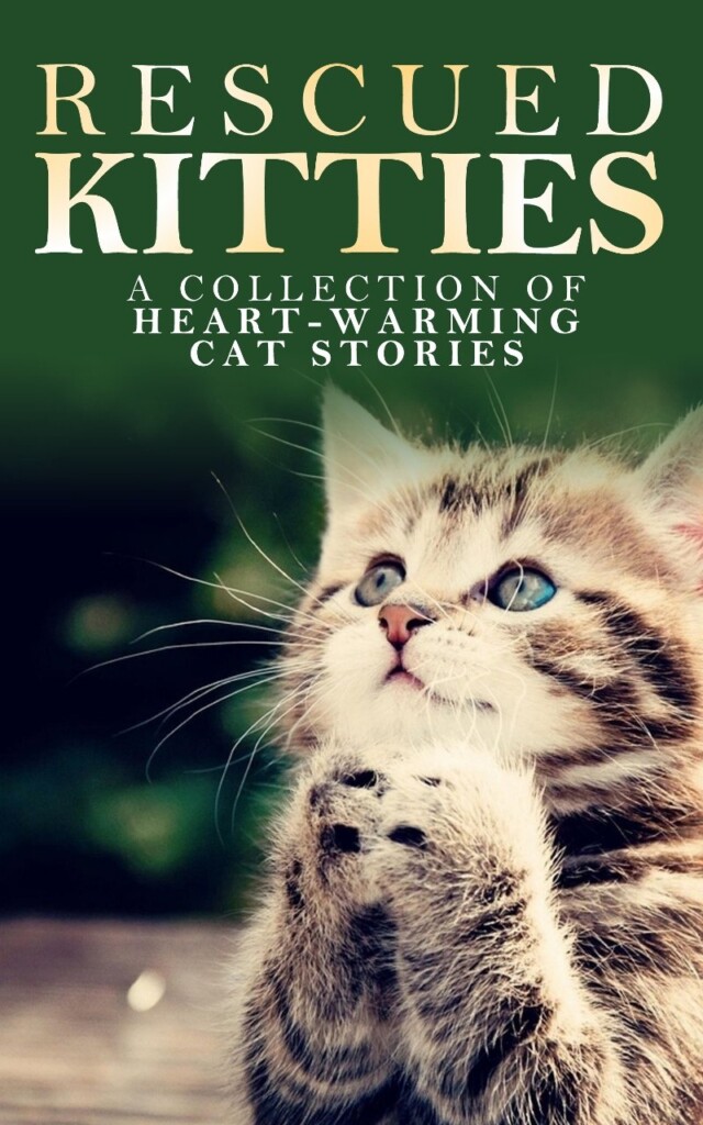 RESCUED KITTIES: A Collection of Heart-Warming Cat Stories     Kindle Edition