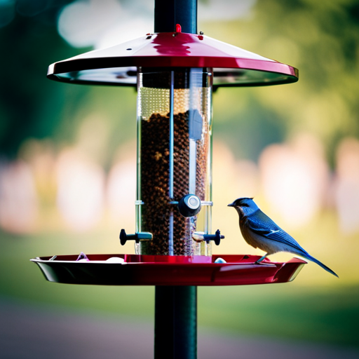 An image featuring a close-up of a window bird feeder, strategically positioned to capture the vibrant colors of visiting birds, while showcasing the potential risks such as window collisions