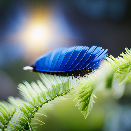 An image showcasing a vibrant blue jay feather delicately resting on a moss-covered, sun-kissed tree branch, radiating ethereal light and evoking a sense of mystery and enchantment