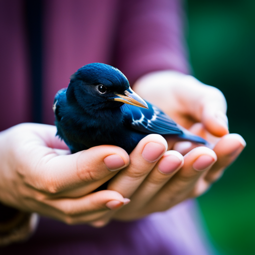 An image of a gentle hand delicately holding a starling baby, while the other hand offers a small piece of fruit
