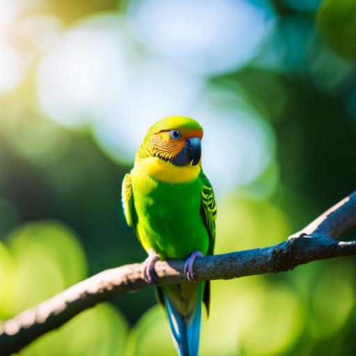 An image capturing the serene sight of a vibrant parakeet perched on a branch, surrounded by lush foliage and bathed in warm sunlight, showcasing their radiant plumage and symbolizing the longevity secrets of these enchanting creatures