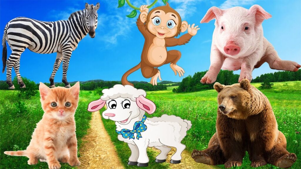 Color farm animals and lovely sounds of animals through the following images: dog, chicken, cow, cat